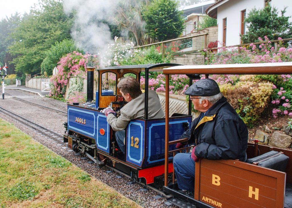 Drive a Steam Train at Pecorama - Driver Experiences 